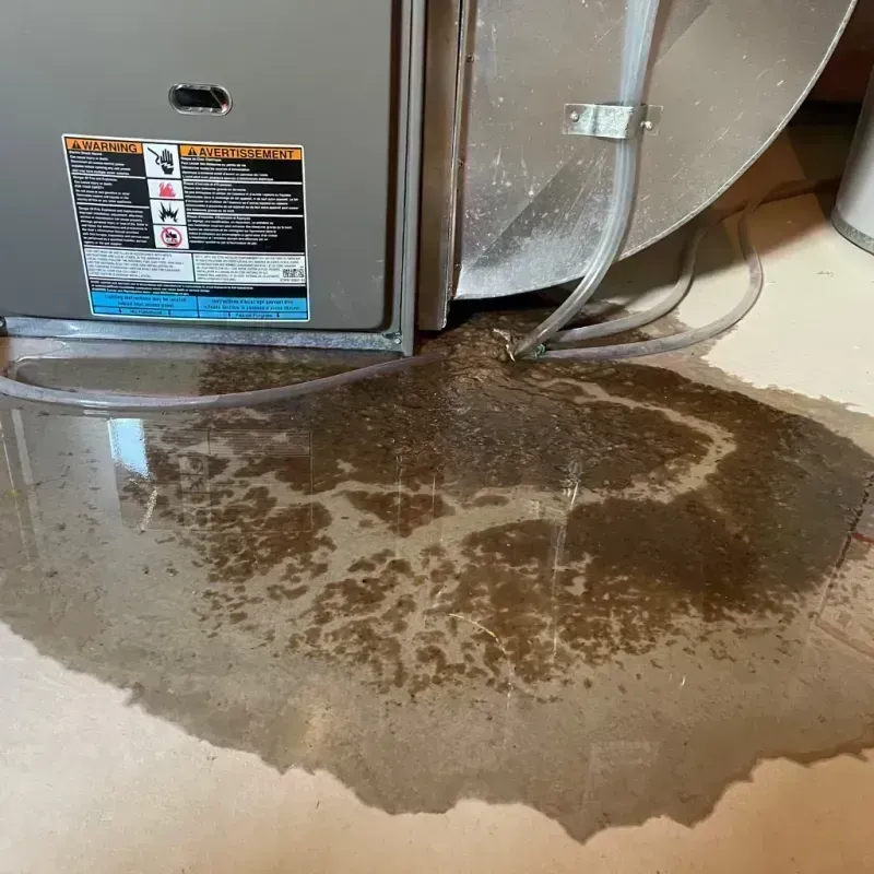 Appliance Leak Cleanup in Pepper Pike, OH